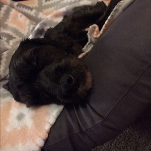 Meet your Posher, Kellie